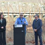 article image - layton 1